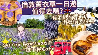 8月去倫敦Mayfield薰衣草田太遲了⁉️花變色了☹️交通漫遊Surrey Banstead區㊙️品嚐意大利平民美食Cafe😋 英國旅遊 倫敦美食 移民英國 移民倫敦 CC中文字幕 [upl. by Esidnac]