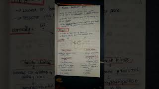 Tumor suppressor gene 📝 [upl. by Yenahpets]