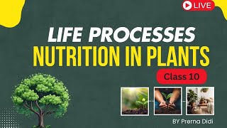 Life Processes🔥 Nutrition in Plants  Class 10 Science  NCERT line by line [upl. by Trilbie583]