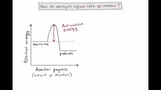 R225  How do catalysts affect rate of reaction [upl. by Kawasaki]