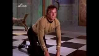 Captain Kirk thinks hes a horse [upl. by Jara]