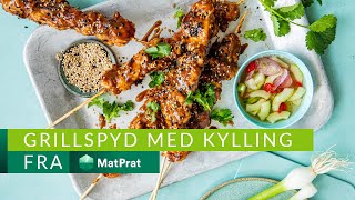 Kyllingspyd med satay  TRIKS  MatPrat [upl. by Morley662]