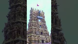 Nallur kandaswamy temple festival 🔥🙏🙏🔥 [upl. by Oicnedurp168]