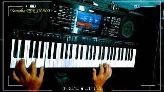 Chris Norman  Midnight Lady cover Yamaha PSR SX900 [upl. by Iago363]