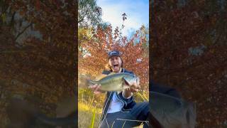 Beautiful Late Fall Bass Fishin lmk some good baits for winter [upl. by Alliber]