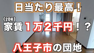 【東京八王子市・団地２DKのルームツアー】日当たり最高で、家賃１万２千円 [upl. by Palmira]