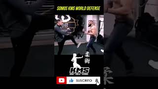 Wing Chun  Golpes Secos [upl. by Nodnal]