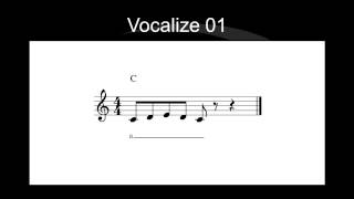 VOCALIZE 01  EXERCÍCIO DE CANTO E TÉCNICA VOCAL [upl. by Jaunita770]