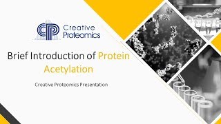 Introduction of Protein Acetylation [upl. by Wanda]