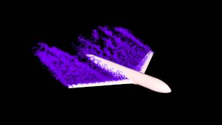 Finite element simulation of vorticity past airplane [upl. by Charlene978]