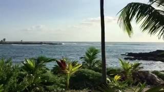 GRAND SIRENIS RESORT AND SPA RIVIERA MAYA MEXICO  DJI OSMO [upl. by Dnaltiac39]