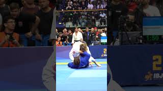 Adam Wardzinski Was On Fire at Euros 2024 ibjjf bjj cbjj [upl. by Llemaj]