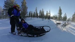 Kutyaszánozás Lappföldön Dog sledding in Lapland [upl. by Carrnan297]