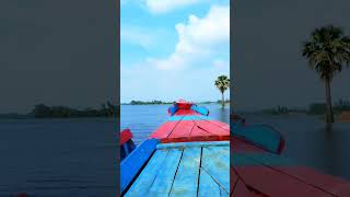 চলনবিলের অপরূপ সৌন্দর্য cholonbil viralvideo [upl. by Leahcimed]