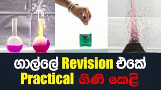 2024 Inorganic Chemistry සදහා ප්‍රායෝගික පරීක්ෂණ ආශ්‍රිත ප්‍රවේශයක් [upl. by Yenor]