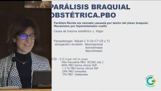 Sesion Pediatria Manejo de Plagiocefalias Tortícolis y Parálisis Braquiales Obstétricas 2 de 2 [upl. by Hammond]