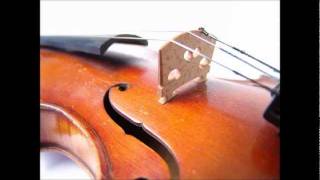 Mozart  Violin Concerto No 1 in B flat K 207 complete [upl. by Weixel]