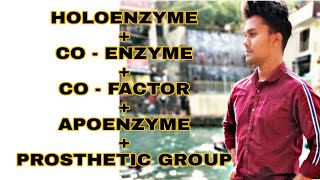 HOLOENZYME APOENZYMECO  FACTORCO ENZYME  PROSTHETIC GROUP [upl. by Gamal]