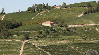 Gaja Barbaresco How Costa Russi and Sorí Tildín Got Their Names [upl. by Dorraj]