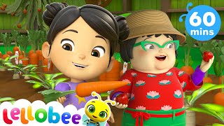 Harvest Festival  🐝 PRESCHOOL PLAYHOUSE 🐝  Lellobee Kids Karaoke [upl. by Mchale]