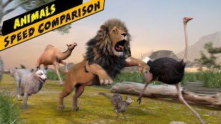 Most fastest animal on land  Animal speed comparison  animal race [upl. by Lesser]