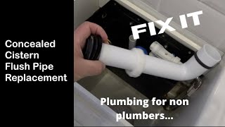 Replacing a concealed Cistern Flush Pipe [upl. by Sil]