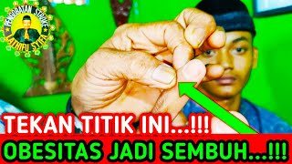 TEKAN TITIK INI OBESITAS KEGEMUKAN JADI SEMBUH [upl. by Niltiac398]