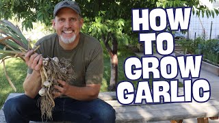 How To Grow Garlic  The Complete Guide for Beginners [upl. by Idnib]