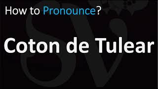 How to Pronounce Coton de Tulear CORRECTLY [upl. by Bates]