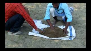 Method Of Sample Collection Of Soil Hindi ASA BIHAR [upl. by Nalyr476]