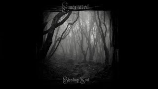 Emaciated  Bleeding Soul DSBM [upl. by Ahsaek]