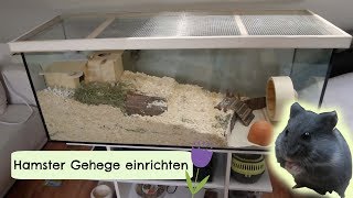 Gehege einrichten für einen Zwerghamster 🐹 [upl. by Serilda]