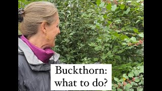 What If You Have A Lot Of Buckthorn Or Other Plants You Need to Remove [upl. by Akenaj]