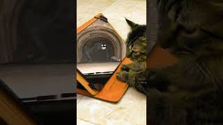 Cat reaction to 😱 Tunnel Demon footage 🕷️💀😲Skibidi Toilet Song animation shorts monster creepy [upl. by Field561]