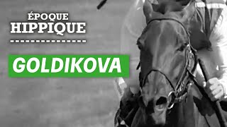 Lhistoire de Goldikova  la championne internationnale  Époque Hippique  PMU [upl. by Suneya]