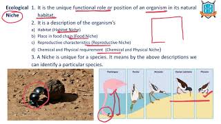 What is Ecological Niche   Ecological Niche అంటే ఏమిటి  La Excellence [upl. by Rehpotsirhk392]