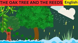 The Oak tree and the reeds stories for kids bedtime stories [upl. by Repohtsirhc]