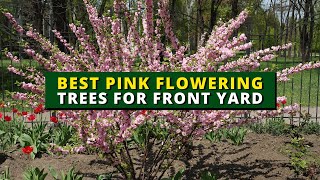 6 Pink Flowering Trees You Can Grow In Your Yard 🌳🌸🏠 [upl. by Nava]