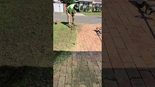 Cutting back another overgrown edge satisfying asmr lawn [upl. by Remo809]