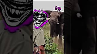 Elephant reaction elephant trollfaceedit edit trolface trollface [upl. by Bullivant999]