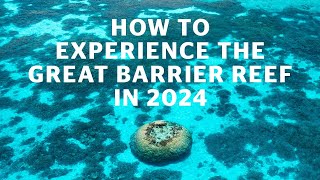 How to experience The Great Barrier Reef in 2024 [upl. by Tomasz]