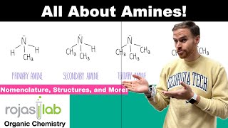 Amines in Organic Chemistry Assess Basicity and Master Nomenclature [upl. by Jacie603]