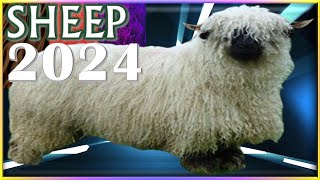 Sheep Horoscope 2024 ✩ Born 2015 2003 1991 1979 1967 1955 1943 1931 [upl. by Toland869]