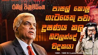 88 89 අනුර කුමාරල මිනිස්සු මැරුවද  JVP UNP සටන  New president Anura Kumara History [upl. by Elocim]