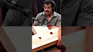 Neil deGrasse Tyson On Asking Questions [upl. by Grider]