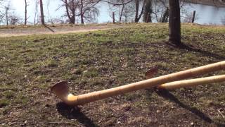 2 Alphorn Players at the Chatzensee in Switzerland [upl. by Iatnahs]