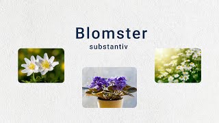 Tema Blomster A2 Substantiv levitator substantiv norsk norskkurs norwegian blomster sommer [upl. by Etterual106]