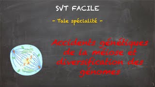 SVT FACILE  Tale spé  Accidents génétiques de la méiose et diversification des génomes [upl. by Nylyrehc]