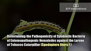 Determining the Pathogenicity of Symbiotic Bacteria of Entomopathogenic Nematodes against the Larvae [upl. by Anekahs688]