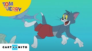 Tom i Jerry Show  Wędkowanie  Cartoonito [upl. by Vatsug]